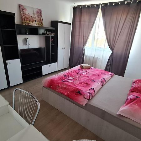 Garsoniera 30Mp Chrysflatty1 - Free Netflix Apartment Arad Exterior photo